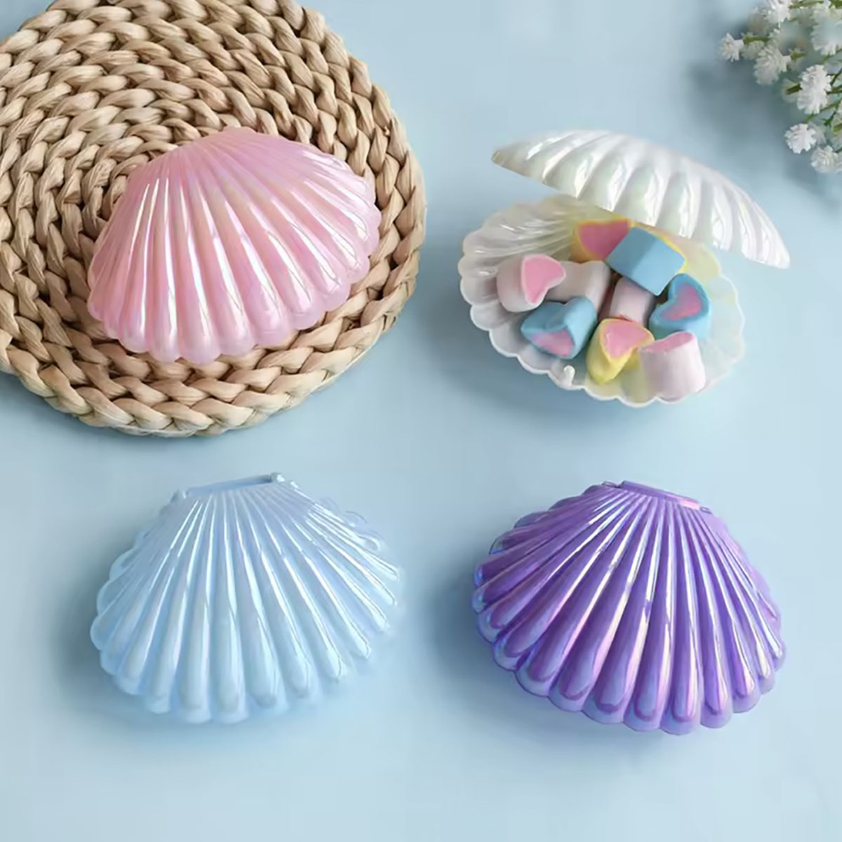 5pcs 쉘 캔디 선물 상자 플라스틱 스낵 쿠키 보석  - Food Snacks For Kids 리뷰 및 가격